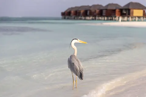 Wallpaper Maladewa 4K · travel · 3840×2560