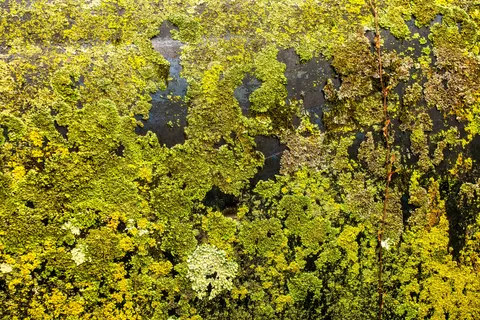 Rusty Metal 4K Wallpaper · textures · 3840×2560