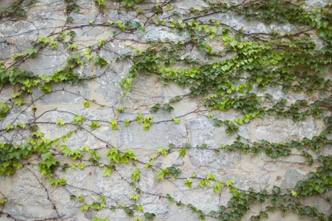 Sfondo Muro di Pietra 4K · textures · 3840×2561