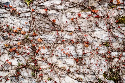 Stone Wall 4K Wallpaper · textures · 3840×2560