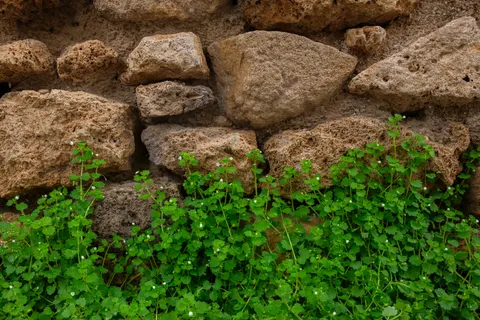 Stone Wall 4K Wallpaper · textures · 3840×2560