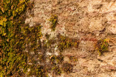 石壁 4K壁紙 · textures · 3840×2560