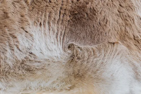 والپیپر چرم با کیفیت 4K · textures · 3840×2560