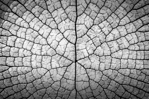 Leather 4K Wallpaper · textures · 3840×2560