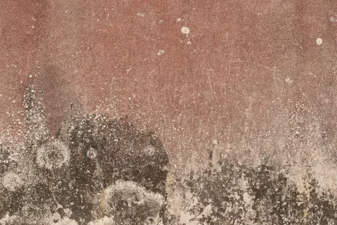 Sfondo Texture di Cemento 4K · textures · 3840×2560