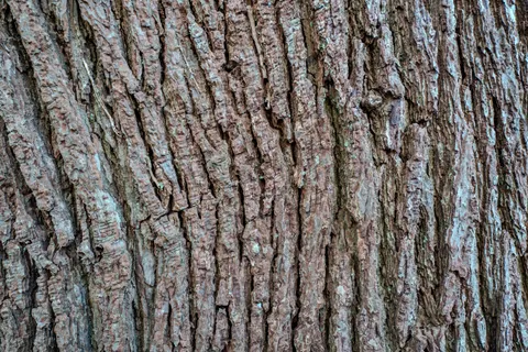 Sfondo Texture di Cemento 4K · textures · 3840×2560