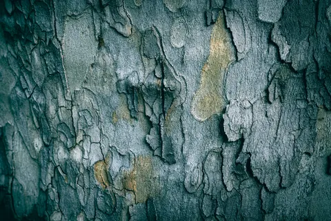 Sfondo Texture di Cemento 4K · textures · 3840×2560