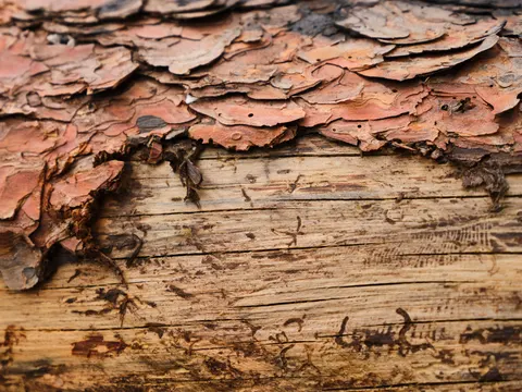 والپیپر بافت چوب با کیفیت 4K · textures · 3840×2880