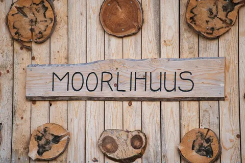 Holzstruktur 4K Hintergrundbild · textures · 3840×2561