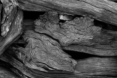 나무 질감 4K 배경화면 · textures · 3840×2560