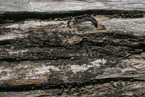 Sfondo Texture di Legno 4K · textures · 3840×2560