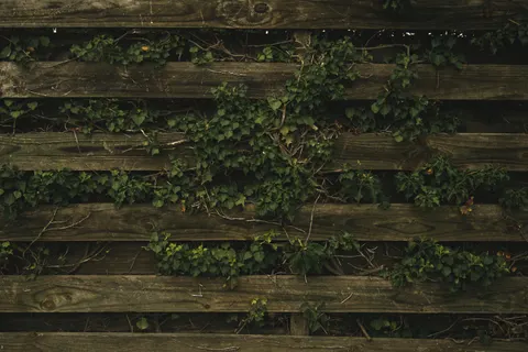 Wood Texture 4K Wallpaper · textures · 3840×2560