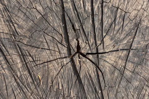 Wood Texture 4K Wallpaper · textures · 3840×2563