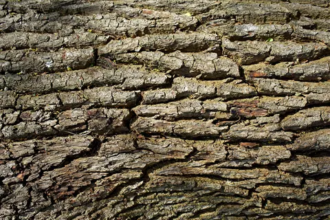 Sfondo Texture di Legno 4K · textures · 3840×2560