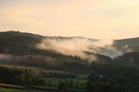 Foggy Forest 4K Wallpaper · nature · 3840×2560