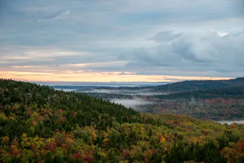 Обои Туманный лес 4K · nature · 3840×2563