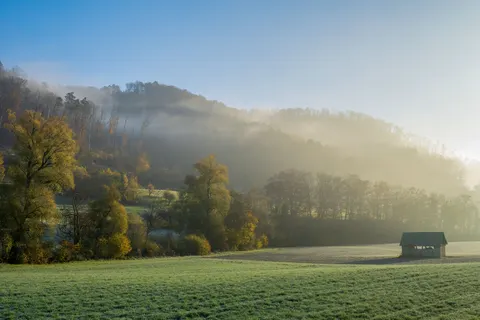 Fond d'écran Forêt brumeuse 4K · nature · 3840×2560