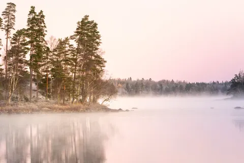 Fond d'écran Forêt brumeuse 4K · nature · 3840×2560