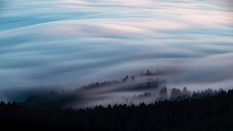 Foggy Forest 4K Wallpaper · nature · 3840×2160