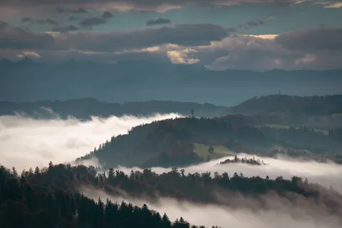 Foggy Forest 4K Wallpaper · nature · 3840×2561