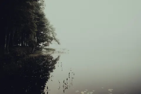 Fondo de pantalla Bosque con niebla 4K · nature · 3840×2560