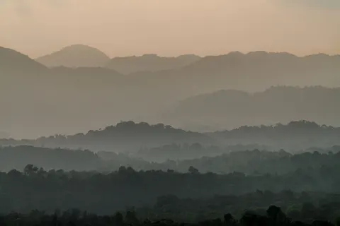 안개 낀 숲 4K 배경화면 · nature · 3840×2561