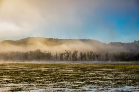 안개 낀 숲 4K 배경화면 · nature · 3840×2560