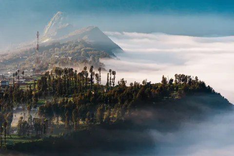 Foggy Forest 4K Wallpaper · nature · 3840×2560
