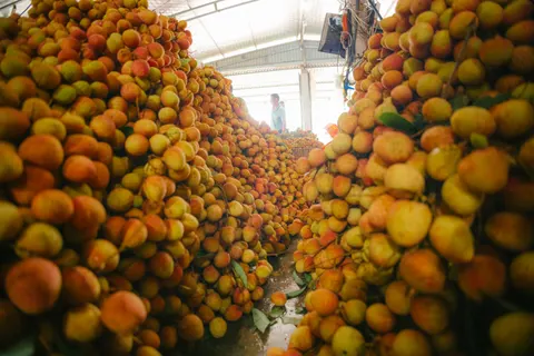 Fondo de pantalla Fruta fresca 4K · food · 3840×2560