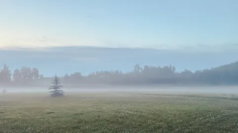 Fondo de pantalla Bosque con niebla 4K · nature · 3840×2160