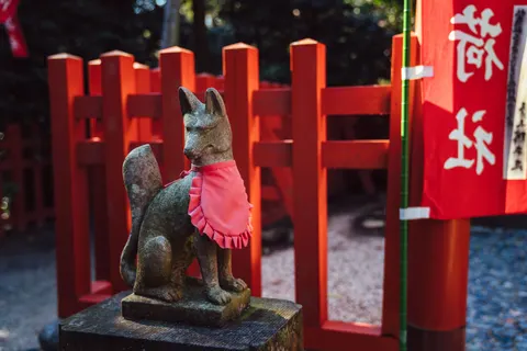 Fox 4K Wallpaper · animals · 3840×2561
