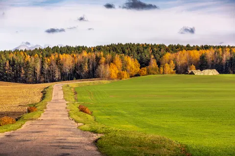 Обои Осенний лес 4K · nature · 3840×2560