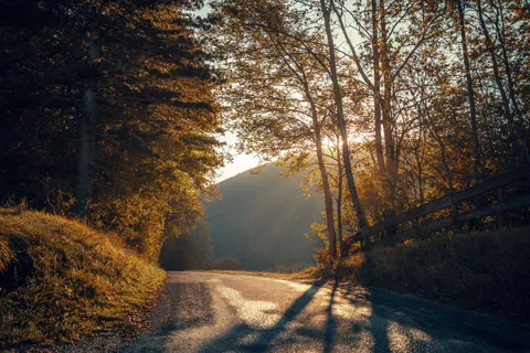 Herbstwald 4K Hintergrundbild · nature · 3840×2560
