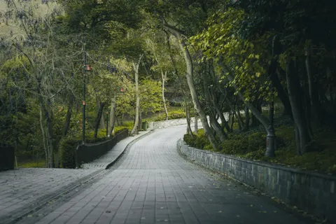 가을 숲 4K 배경화면 · nature · 3840×2560