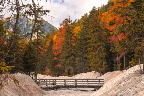 Fondo de pantalla Bosque de otoño 4K · nature · 3840×2560