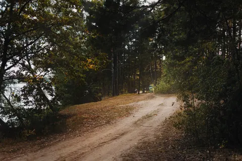 Fondo de pantalla Bosque de otoño 4K · nature · 3840×2560