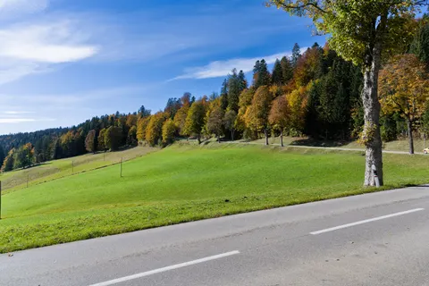 Herbstwald 4K Hintergrundbild · nature · 3840×2558