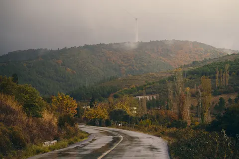 가을 숲 4K 배경화면 · nature · 3840×2560