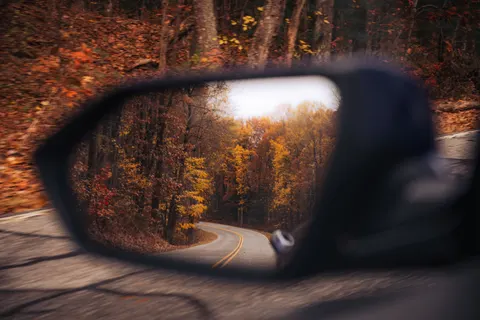 Fondo de pantalla Bosque de otoño 4K · nature · 3840×2563