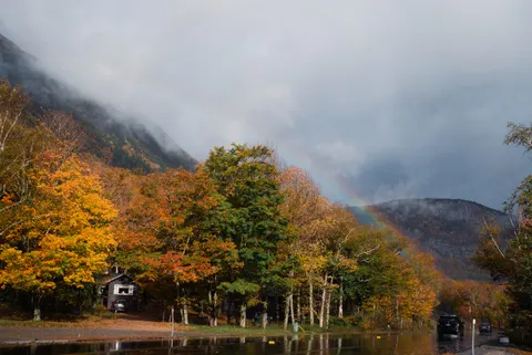 秋日森林 4K壁纸 · nature · 3840×2563