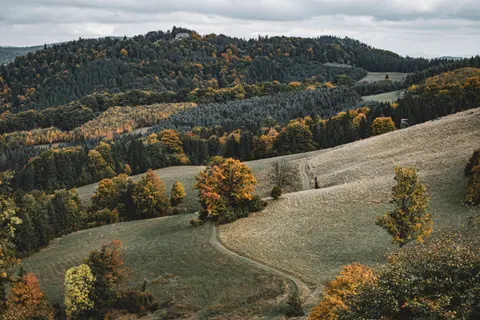 秋日森林 4K壁纸 · nature · 3840×2560