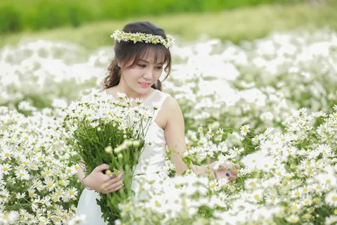 雏菊花田 4K壁纸 · flowers · 3840×2560