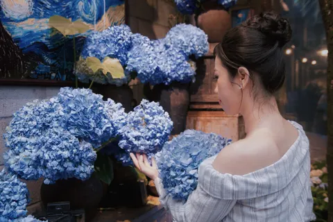 Wallpaper Bunga Hydrangea 4K · flowers · 3840×2560
