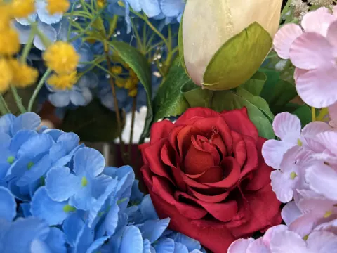Tapeta Hortensja 4K · flowers · 3840×2880