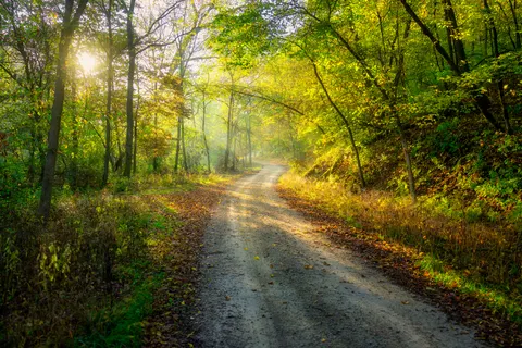 Herbstwald 4K Hintergrundbild · nature · 3840×2560