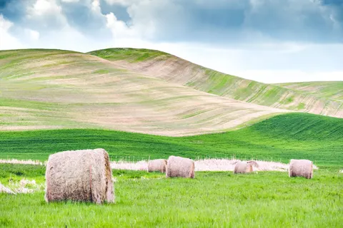 Fond d'écran Collines vertes 4K · nature · 3840×2560