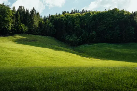 Fond d'écran Collines vertes 4K · nature · 3840×2560