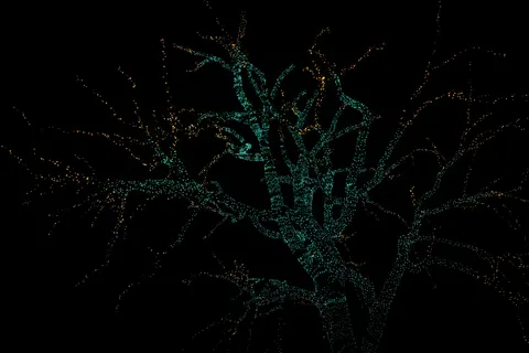 Glowing Circuit 4K Wallpaper · technology · 3840×2561
