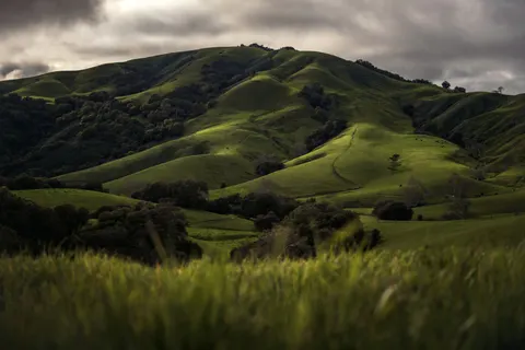 绿色丘陵 4K壁纸 · nature · 3840×2560