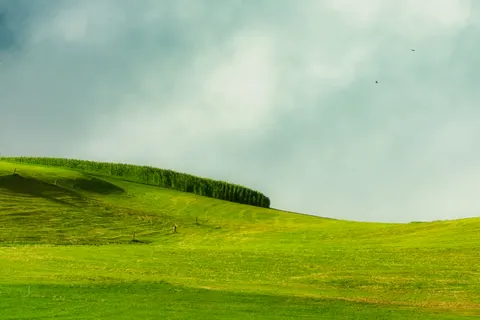 초록 언덕 4K 배경화면 · nature · 3840×2560